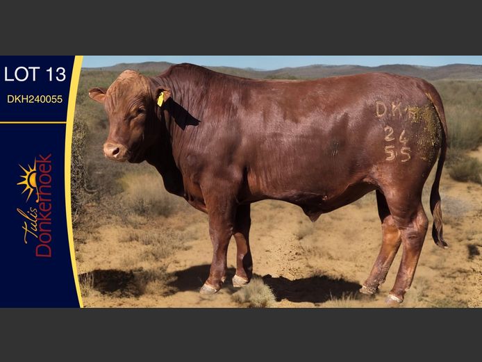 DKH240055 | DONKERHOEK BOERDERY TRUST