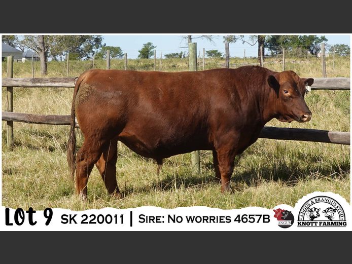 SK 220011