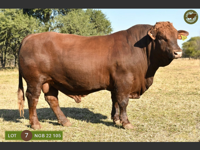 NGB220105 | NOOITGEDACHT SAFARI'S PTY LTD