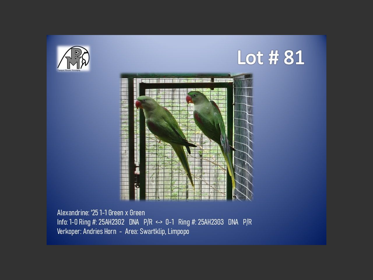 images