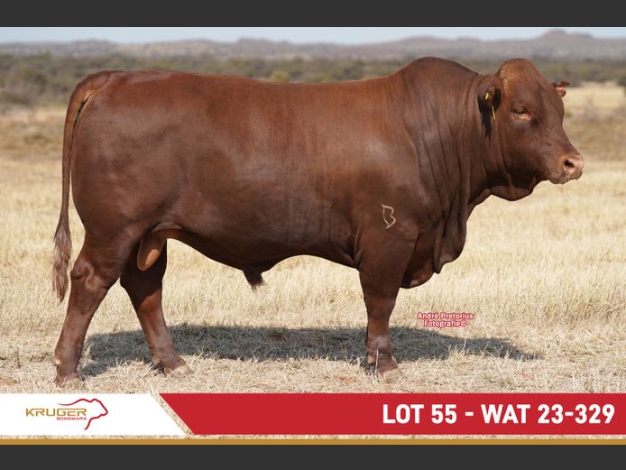 WAT230329 | KRUGER BOERDERY
