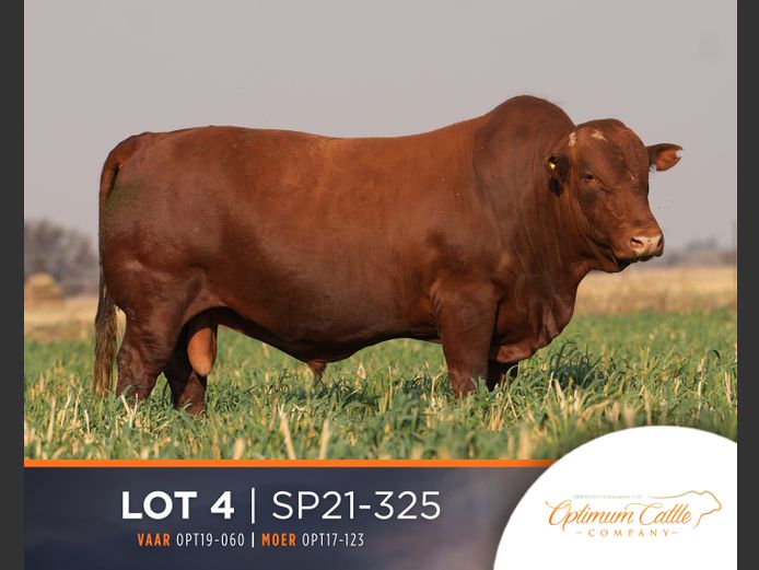 SP  210325