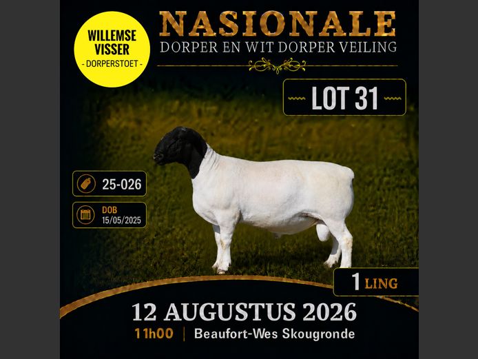25 026 | W VISSER