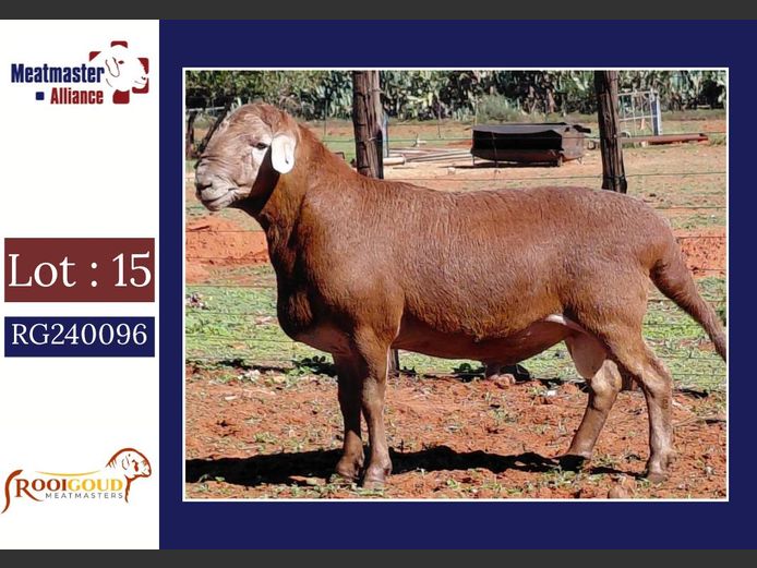 498 | Rooigoud Meatmasters