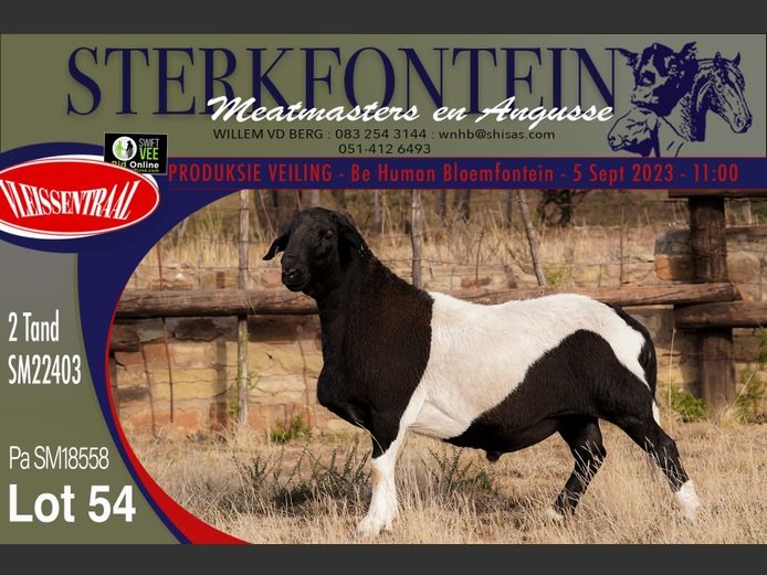 SM 22 403 | Sterkfontein Meatmasters