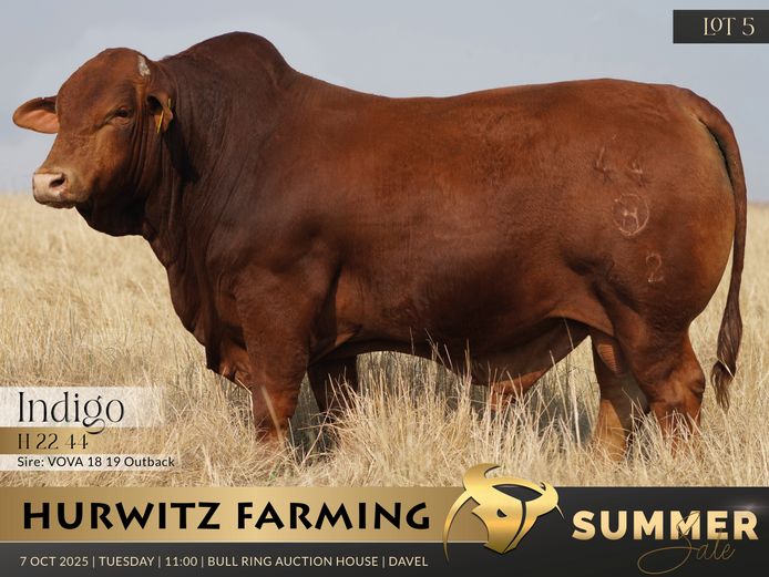 H   220044