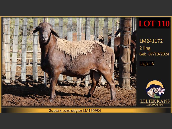 LM241172 | LELIEKRANS MEATMASTERS