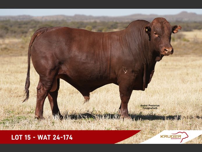 WAT240174 | KRUGER BOERDERY