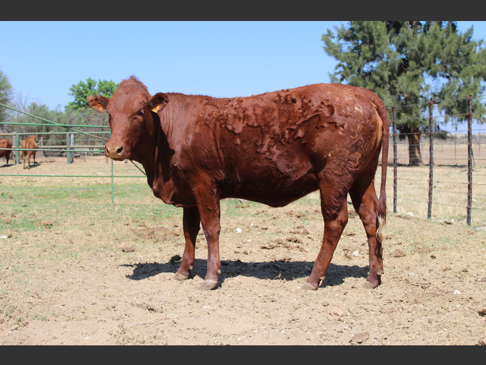 GA  230273 | GANNA AAR BOERDERY (EDMS) BPK