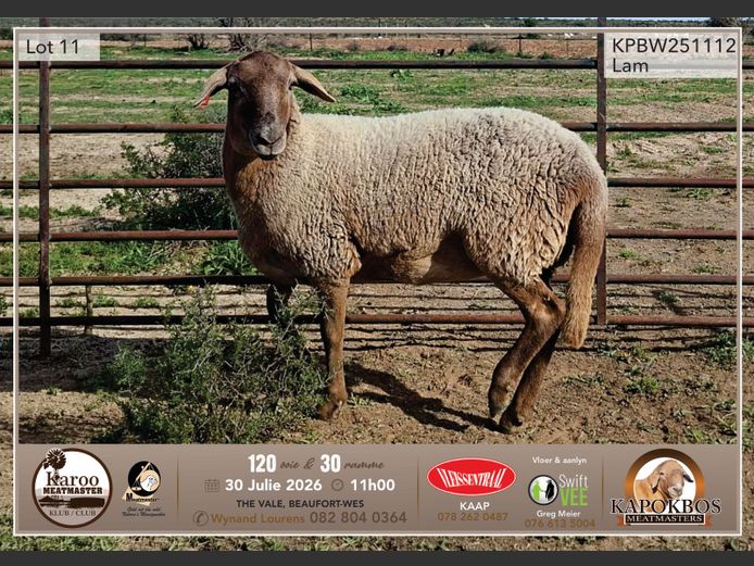 KPBW 25-1112 | Wynand Lourens - Kapokbos Meatmasters