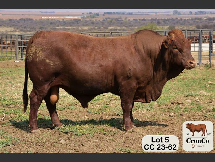 CC 230062 | CRONCO AGRI
