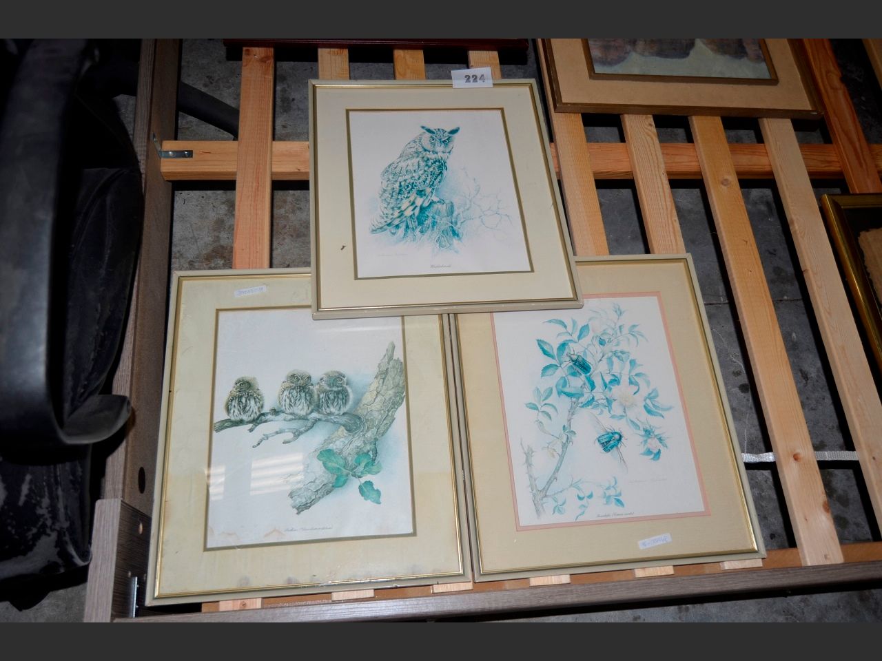 images