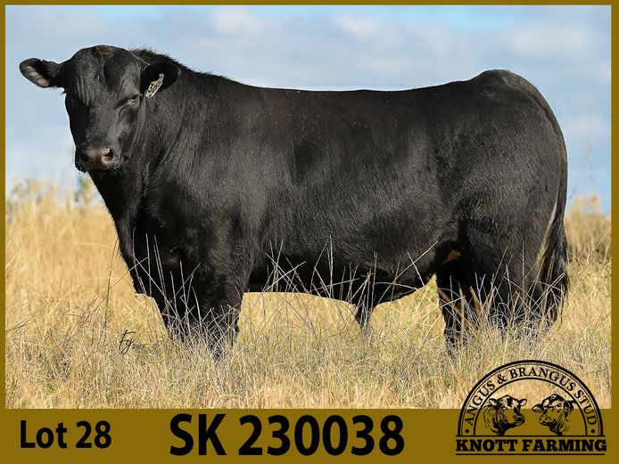 SK 230038 | KNOTT FARMING (PTY) LTD