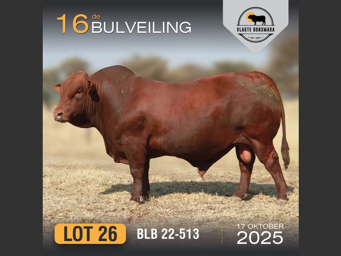 BLB 220513 | BOSLAND BOERDERY