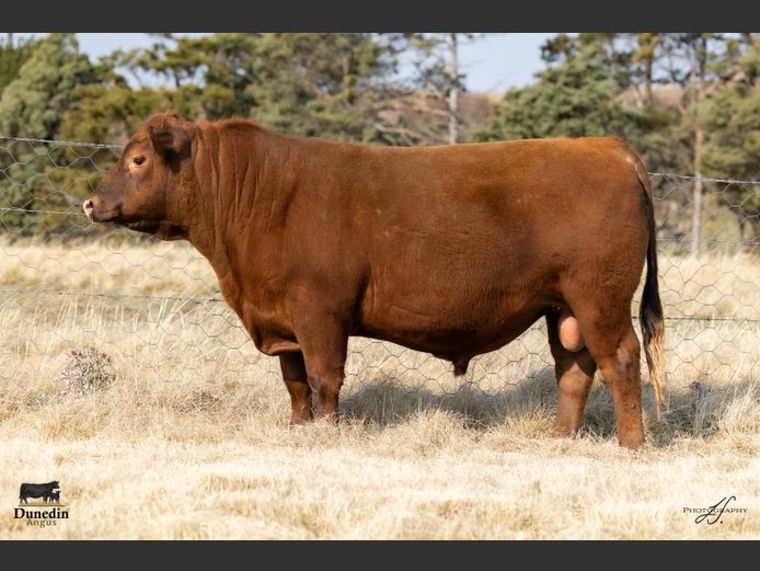 KCM 230030 | TABLE HILL FARMING PTY LTD