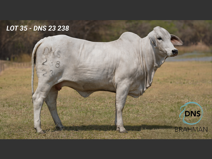 DNS23238 | JES-C BOERDERY (PTY) LTD