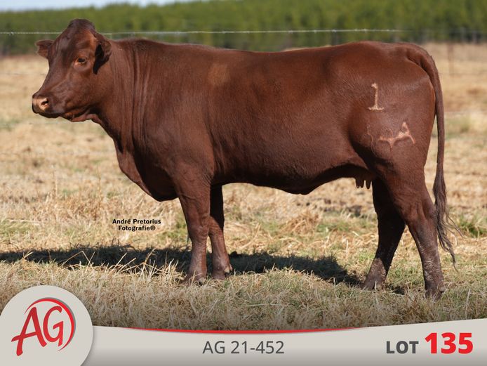 AG210452 | ARTHUR DE VILLIERS & SEUN