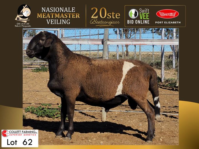 CC 250294 | COLLETT FARMING CC