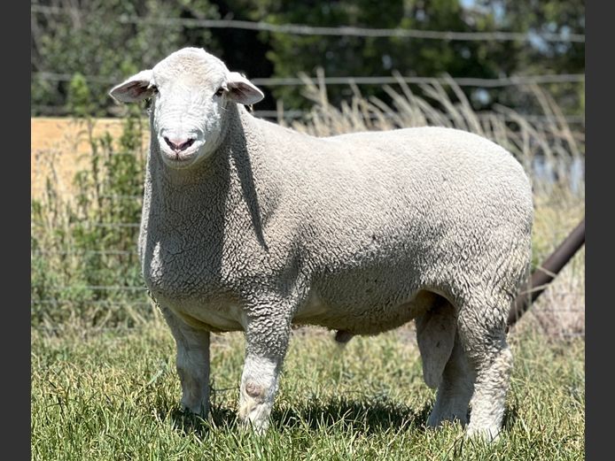 JB 24 0002 | J.A BARNARD