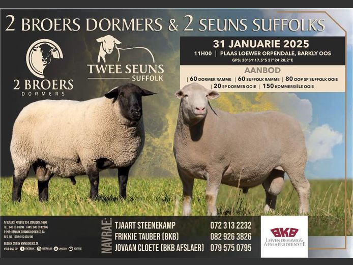 2 BROERS DORMERS & 2 SEUNS SUFFOLKS VEILING