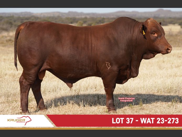 WAT230273 | KRUGER BOERDERY