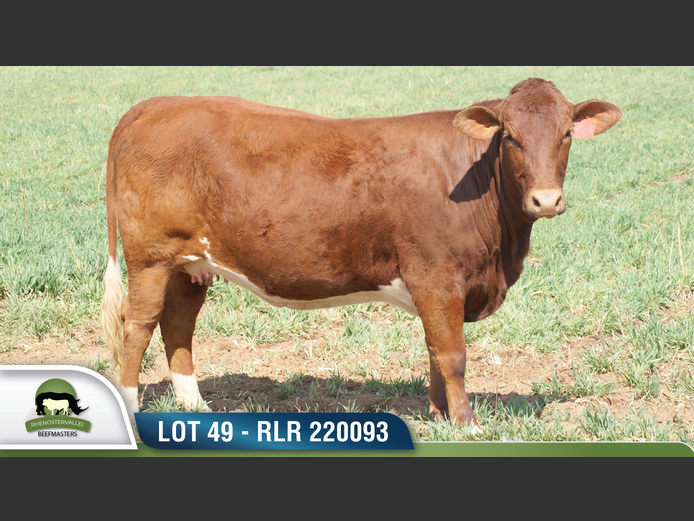 RLR 220093 | RHENOSTERVALLEI