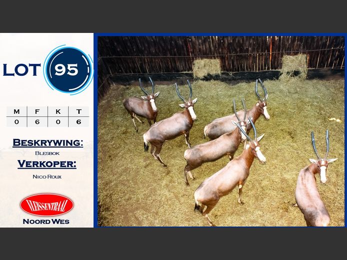 Blesbokke