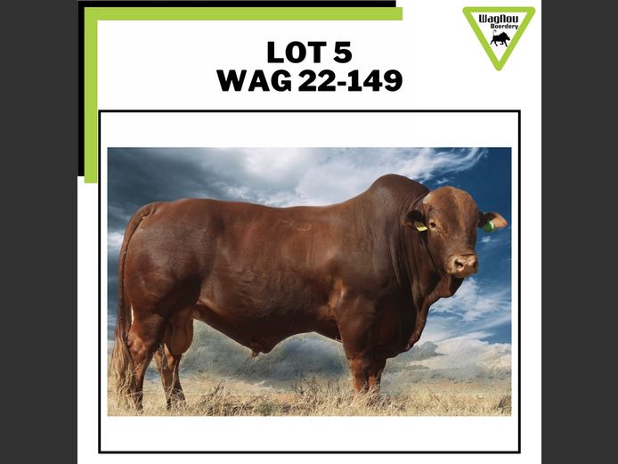 WAG 220149 | WAGNOU BOERDERY