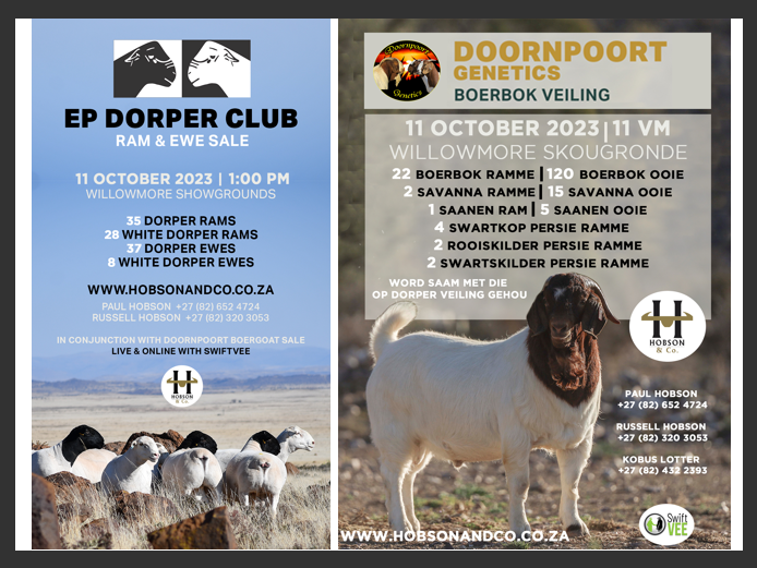 DOORNPOORT & EP DORPER CLUB RAM & EWE SALE