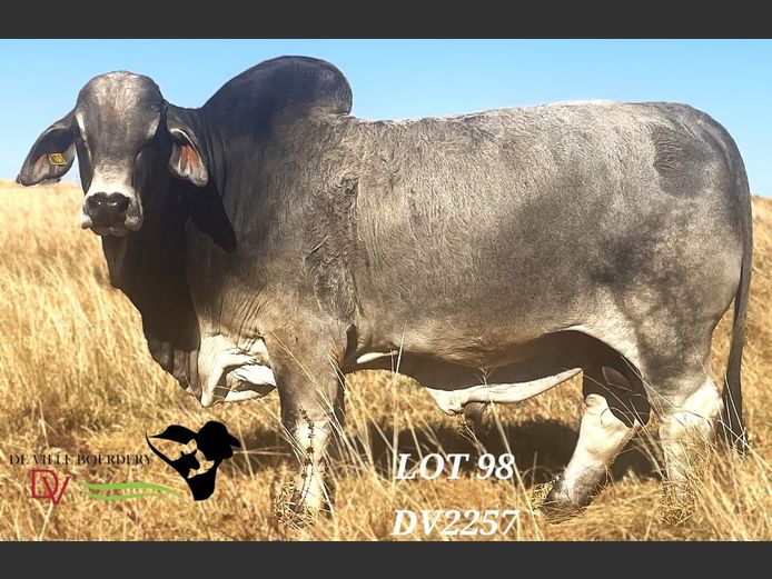 DV2257 | DE VILLE BOERDERY (EDMS) BPK