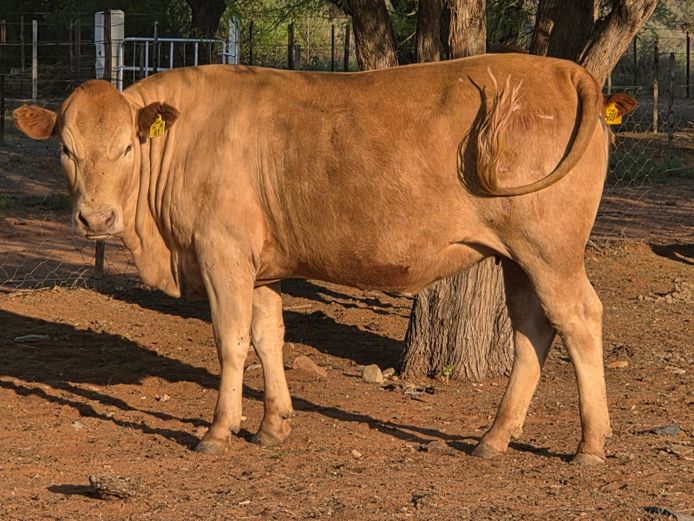 DKH240061 | DONKERHOEK BOERDERY TRUST