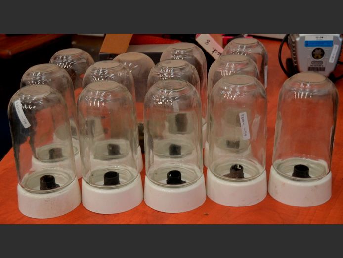 LOT: OUTDOOR LIGHTS [Untested]