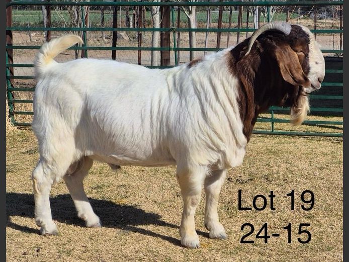 240015 | DU PREEZKRAAL