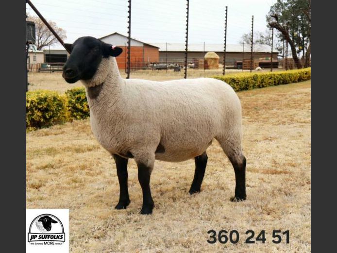 360240051 | J.I. POTGIETER