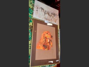 images