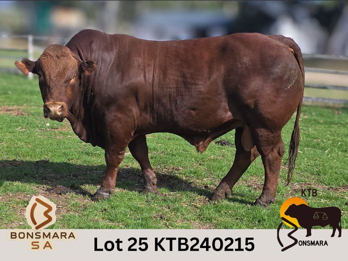 KTB240215 | BOTTERFONTEIN ESTATES CC