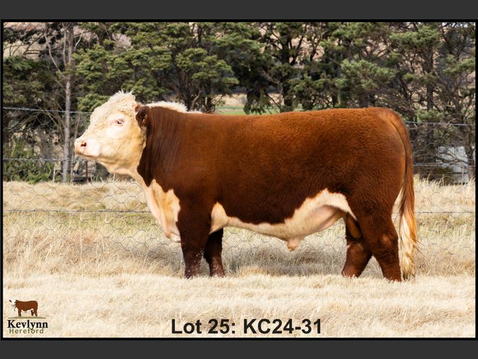 KC240031 PcH