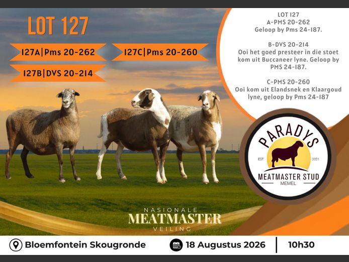 PMS 20 0214 | PARADYS MEATMASTER STOET