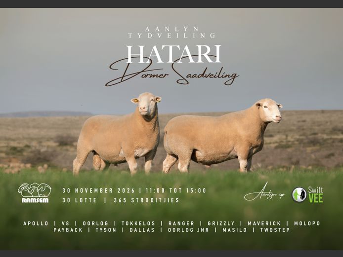 HATARI DORMER SAADVEILING