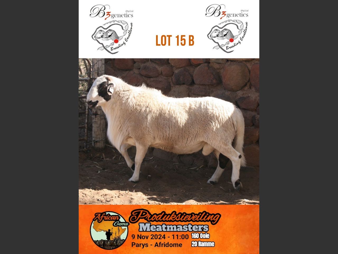 Lot 15B | AFRICAN GEM MEATMASTER PRODUKSIEVEILING | SwiftVEE ...