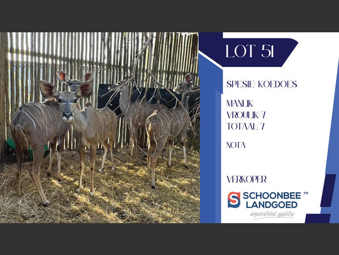 KOEDOE | SCHOONBEE LANDGOED