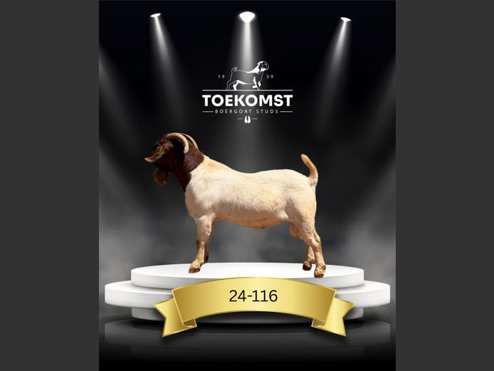 24-116 | Toekomst
