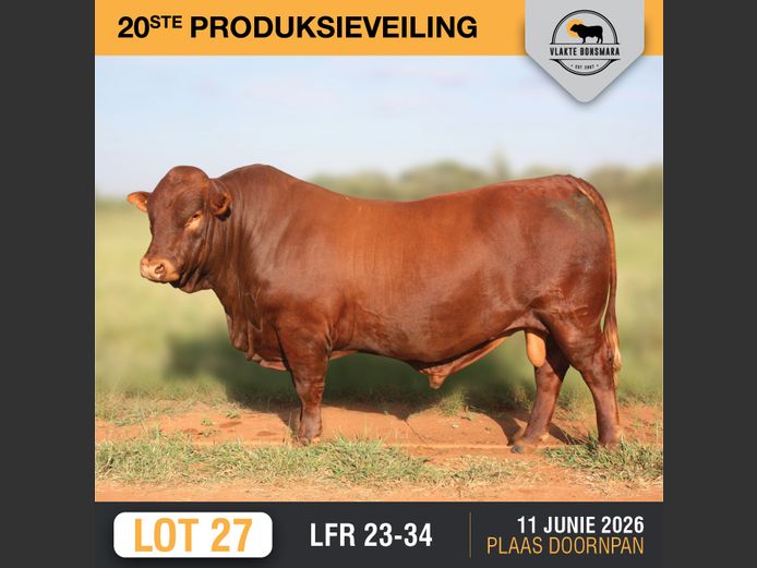LFR 230034 | LEON RIEKERT & SEUNS