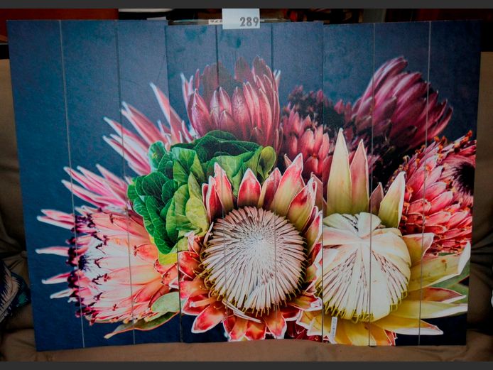 TRIPTYCH PROTEA PRINTS ON BOARD, 90 x 66cm