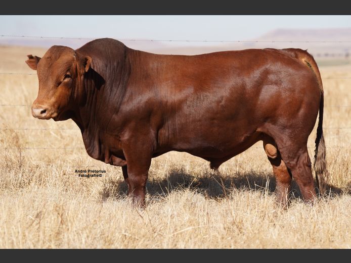 AG220160