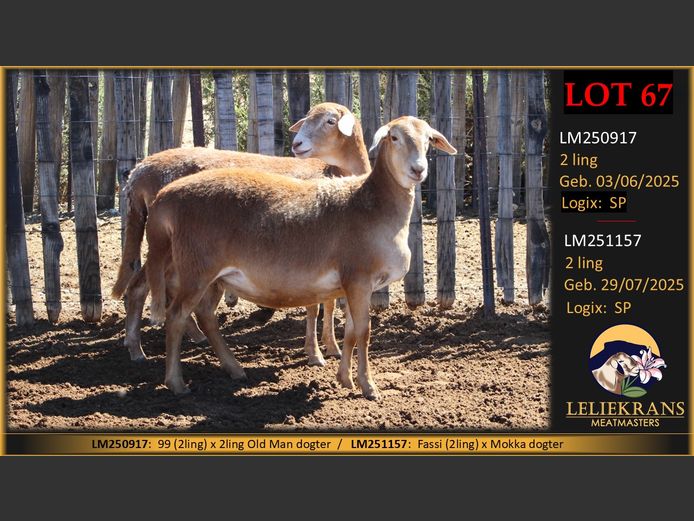 LM251157 | LELIEKRANS MEATMASTERS