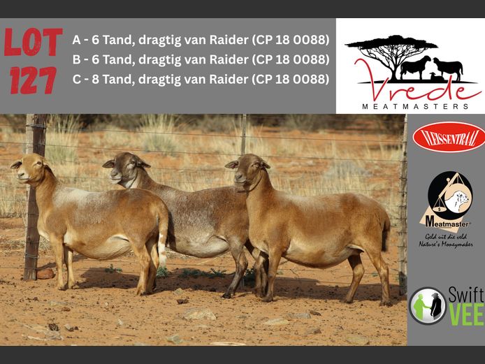 PS 22 049 | Peter & Christia Scholtz - Vrede Meatmasters