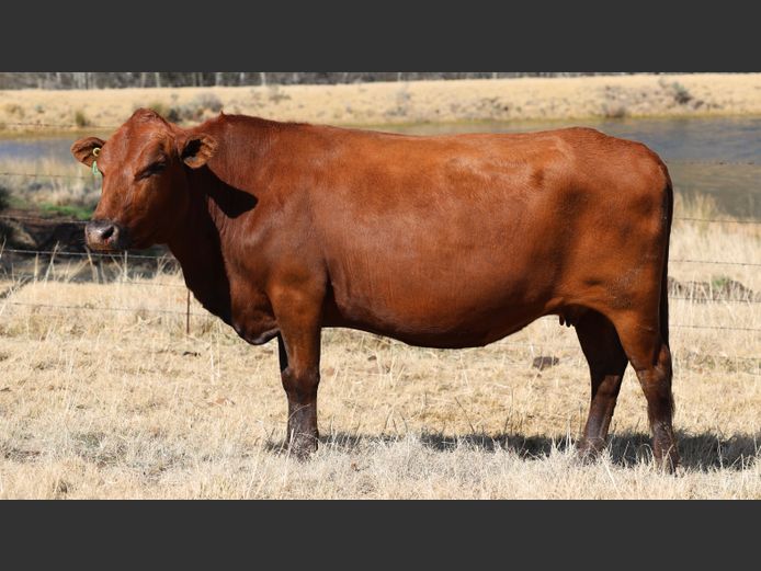 HBH 180054 | CLARK CATTLE COMPANY PTY LTD