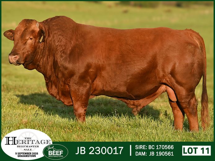 JB 230017 HH | SUPER PRO DAIRY