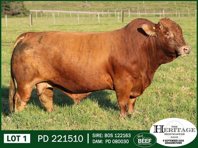 PD 221510 HH | SUPER PRO DAIRY
